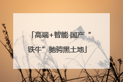 高端+智能 国产“铁牛”驰骋黑土地