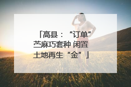 高县：“订单”苎麻巧套种 闲置土地再生“金”