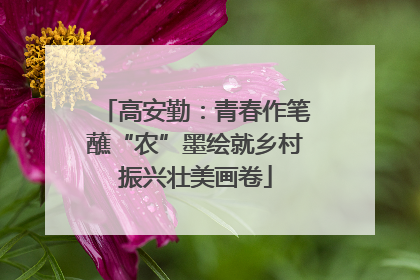 高安勤：青春作笔蘸“农”墨绘就乡村振兴壮美画卷
