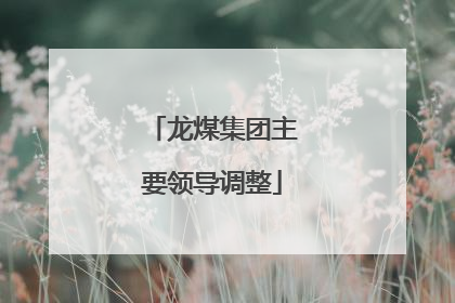 龙煤集团主要领导调整