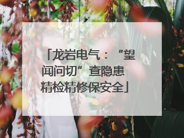 龙岩电气：“望闻问切”查隐患 精检精修保安全