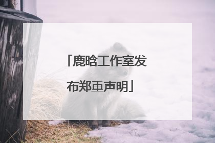 鹿晗工作室发布郑重声明