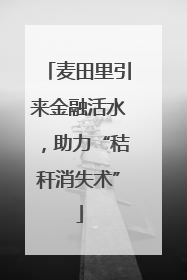 麦田里引来金融活水，助力“秸秆消失术”