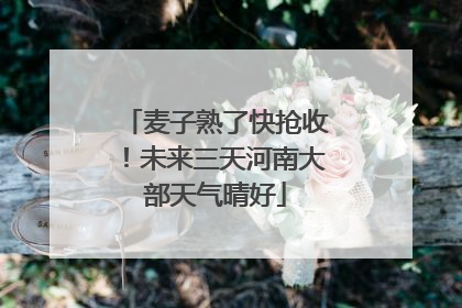麦子熟了快抢收！未来三天河南大部天气晴好