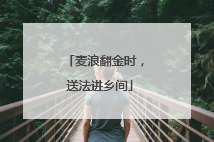 麦浪翻金时，送法进乡间