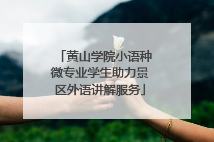 黄山学院小语种微专业学生助力景区外语讲解服务