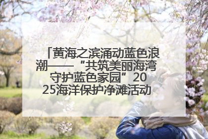 黄海之滨涌动蓝色浪潮——“共筑美丽海湾 守护蓝色家园”2025海洋保护净滩活动暨“美丽江苏—江河湖海青蓝行”海洋篇在连云港举行