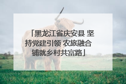 黑龙江省庆安县 坚持党建引领 农旅融合铺就乡村共富路