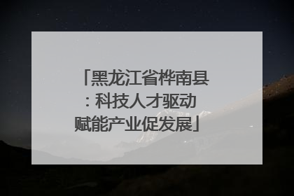 黑龙江省桦南县：科技人才驱动 赋能产业促发展