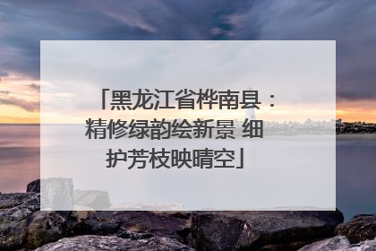 黑龙江省桦南县：精修绿韵绘新景 细护芳枝映晴空