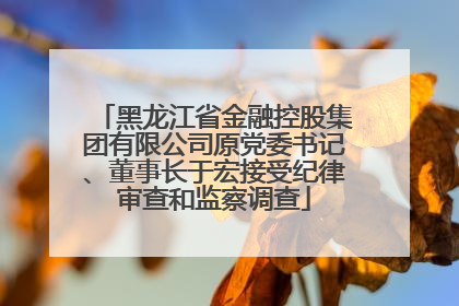 黑龙江省金融控股集团有限公司原党委书记、董事长于宏接受纪律审查和监察调查