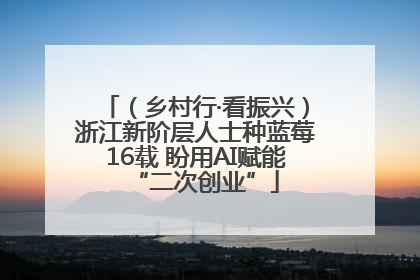 （乡村行·看振兴）浙江新阶层人士种蓝莓16载 盼用AI赋能“二次创业”