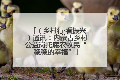 （乡村行·看振兴）通讯：内蒙古乡村公益岗托底农牧民“稳稳的幸福”