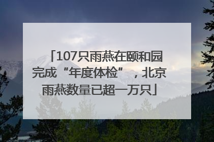 107只雨燕在颐和园完成“年度体检”，北京雨燕数量已超一万只