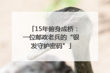 15年俯身成桥：一位邮政老兵的“银发守护密码”