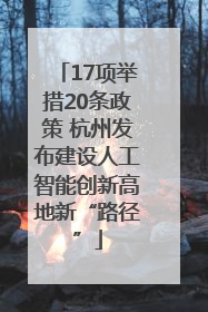 17项举措20条政策 杭州发布建设人工智能创新高地新“路径”
