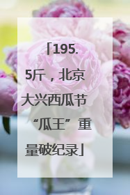 195.5斤，北京大兴西瓜节“瓜王”重量破纪录