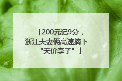 200元记9分，浙江夫妻俩高速摘下“天价李子”