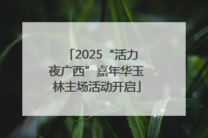 2025“活力夜广西”嘉年华玉林主场活动开启