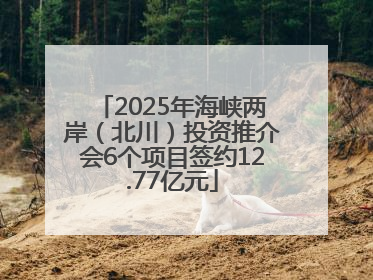 2025年海峡两岸（北川）投资推介会6个项目签约12.77亿元
