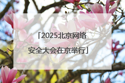 2025北京网络安全大会在京举行