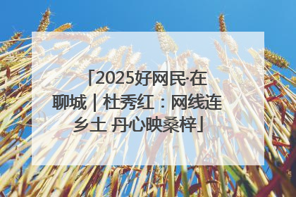 2025好网民·在聊城｜杜秀红：网线连乡土 丹心映桑梓