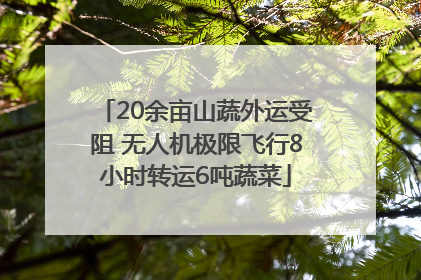 20余亩山蔬外运受阻 无人机极限飞行8小时转运6吨蔬菜