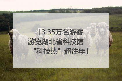 3.35万名游客游览湖北省科技馆 “科技热”超往年