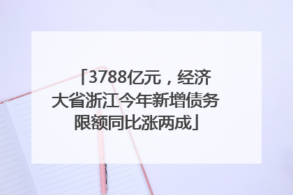 3788亿元，经济大省浙江今年新增债务限额同比涨两成