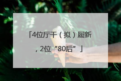 4位厅干（拟）履新，2位“80后”