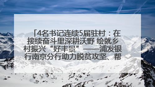 4名书记连续5届驻村：在接续奋斗里深耕沃野 绘就乡村振兴“好丰景”——浦发银行南京分行助力脱贫攻坚、帮促乡村振兴记事（二）