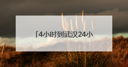 4小时到武汉24小时达新疆，京东助广东荔枝“鲜”到全国