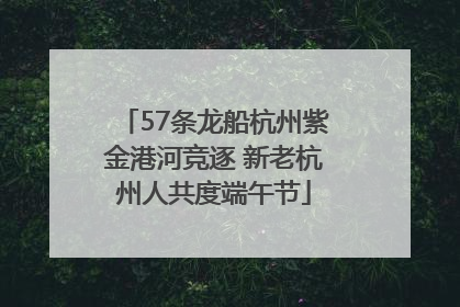 57条龙船杭州紫金港河竞逐 新老杭州人共度端午节