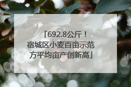 692.8公斤！宿城区小麦百亩示范方平均亩产创新高