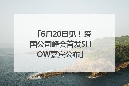 6月20日见！跨国公司峰会首发SHOW嘉宾公布