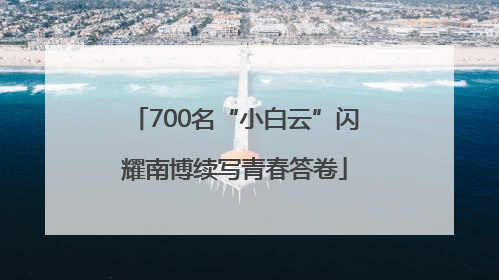 700名“小白云”闪耀南博续写青春答卷