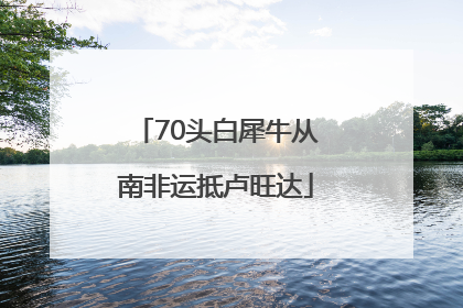 70头白犀牛从南非运抵卢旺达