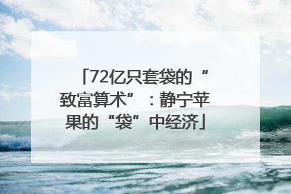 72亿只套袋的“致富算术”：静宁苹果的“袋”中经济