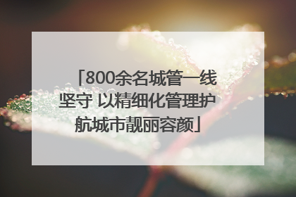 800余名城管一线坚守 以精细化管理护航城市靓丽容颜