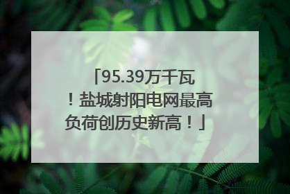95.39万千瓦！盐城射阳电网最高负荷创历史新高！