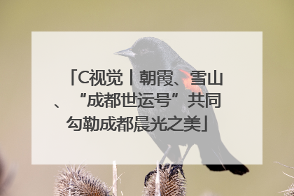 C视觉丨朝霞、雪山、“成都世运号”共同勾勒成都晨光之美
